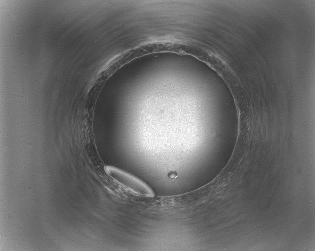 X0000054370968200508191842