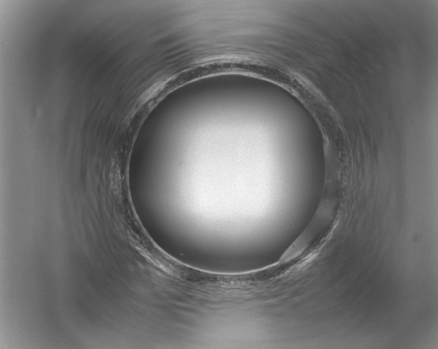 X0000054370969200508191842