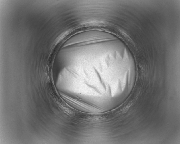 X0000054370970200508191842