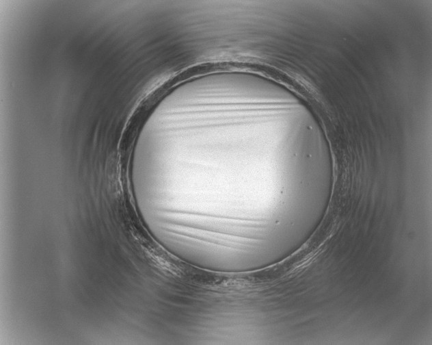 X0000054370974200508191842