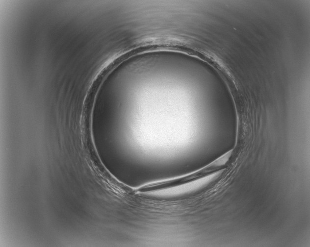 X0000054370975200508191842