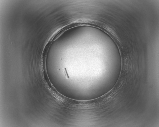 X0000054370976200508191842