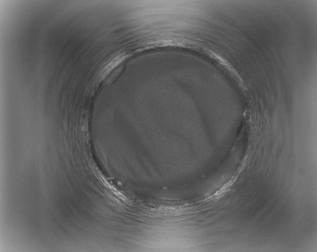 X0000054370977200508191842