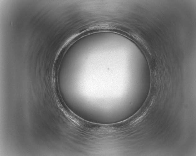 X0000054370981200508191842