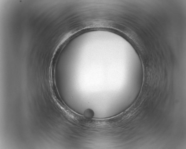 X0000054370982200508191842