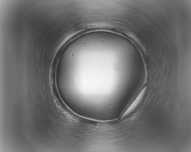 X0000054370983200508191842