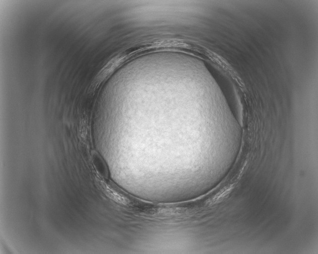 X0000054370985200508191842