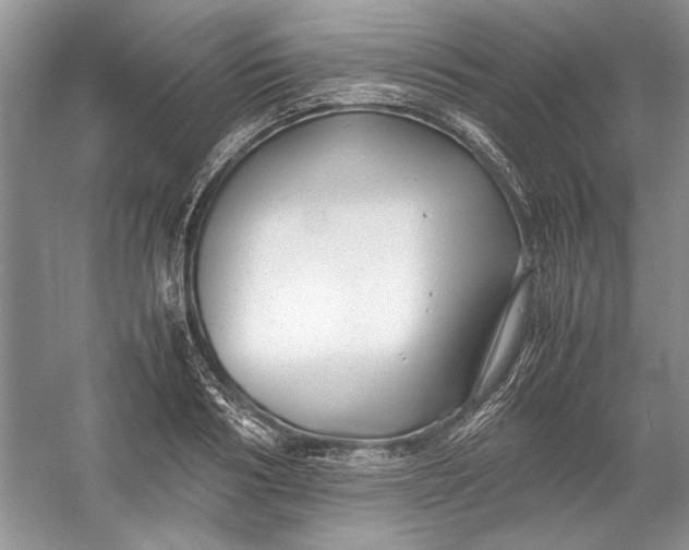 X0000054370986200508191842