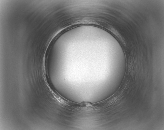 X0000054370988200508191842