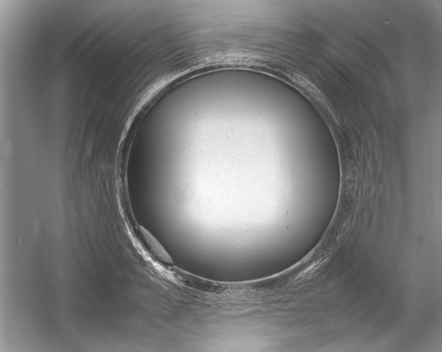 X0000054370989200508191842