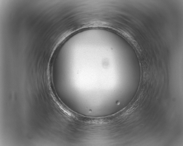 X0000054370990200508191842