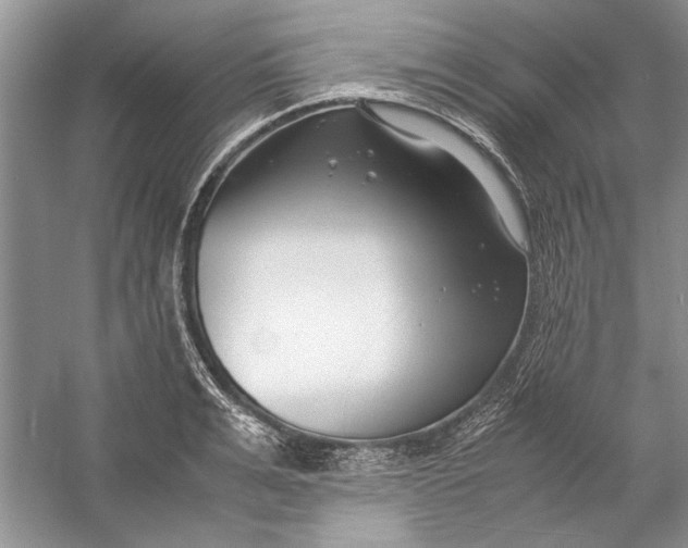 X0000054370991200508191842