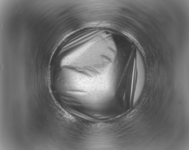 X0000054370992200508191842