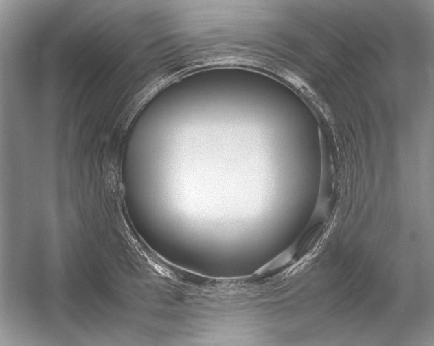 X0000054370993200508191842