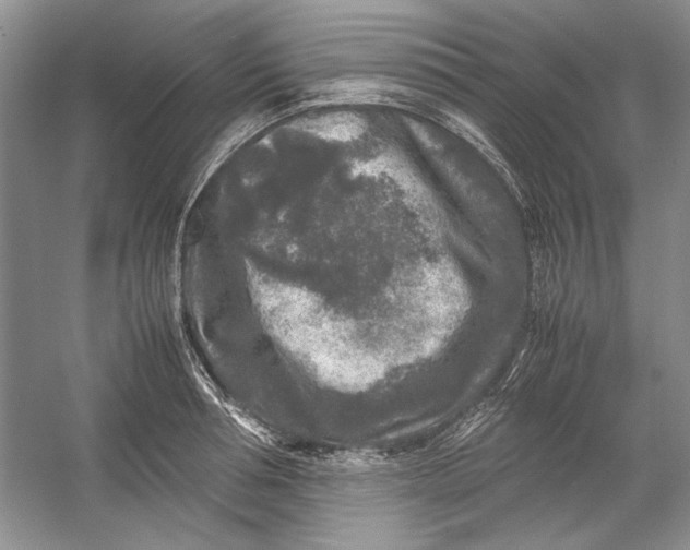 X0000054370994200508191842