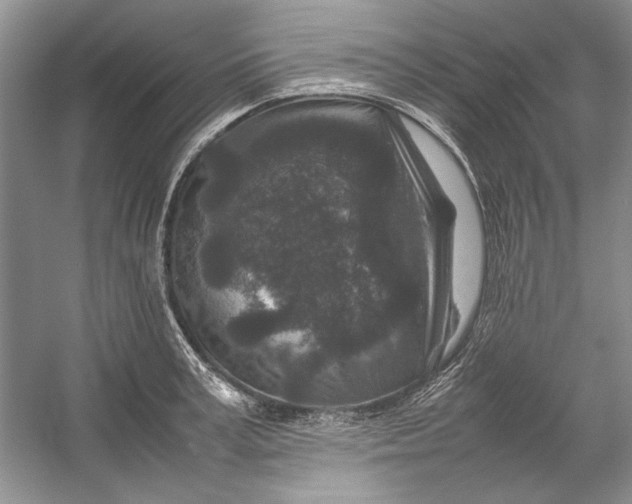 X0000054370995200508191842