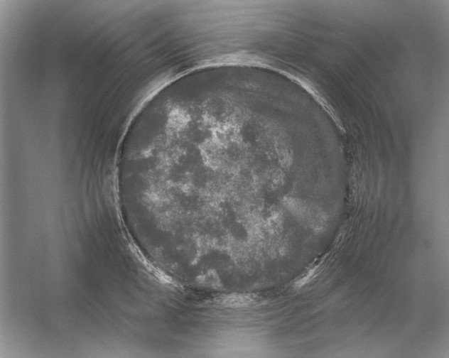 X0000054370998200508191841