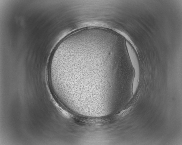 X0000054370999200508191841