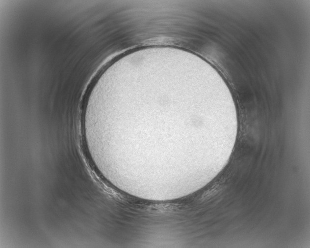 X0000054371000200508191841