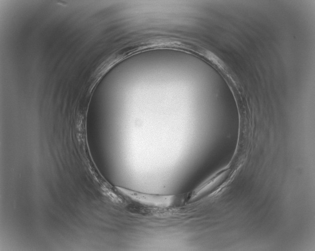 X0000054371001200508191841