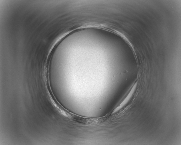 X0000054371003200508191841