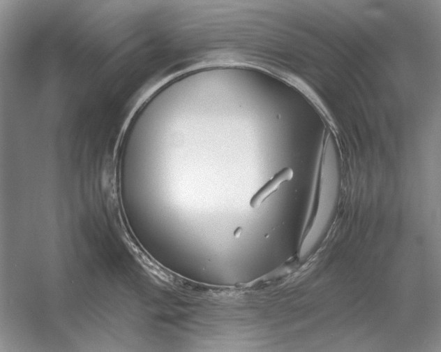 X0000054371004200508191841