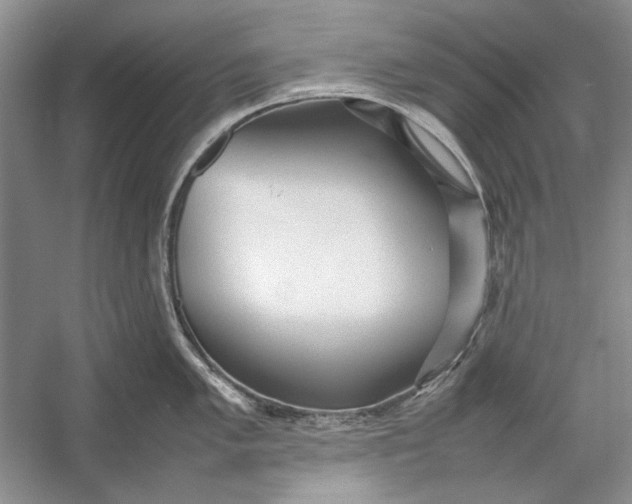 X0000054371005200508191841