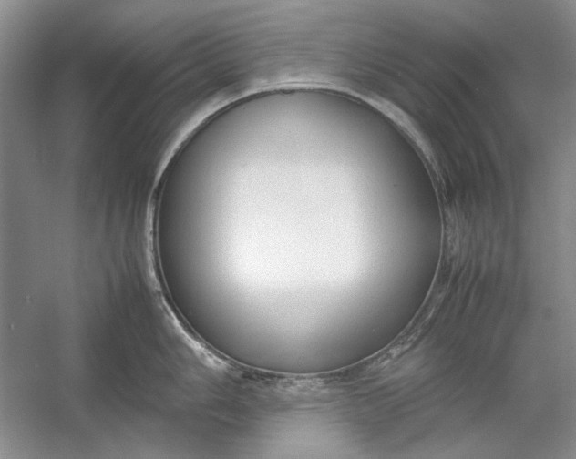 X0000054371006200508191841