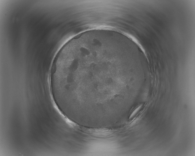 X0000054371007200508191841