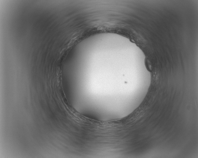 X0000054371012200508191841