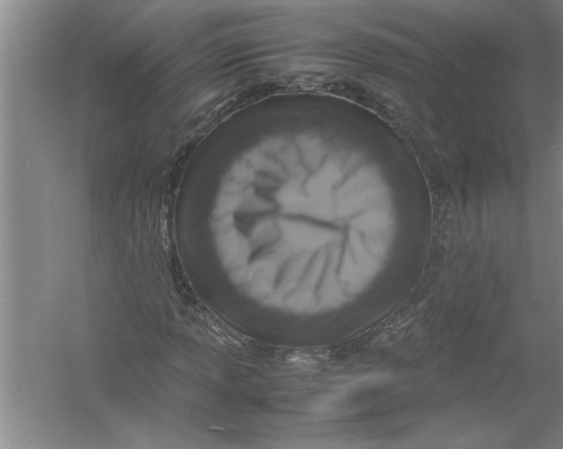 X0000054371013200508191841