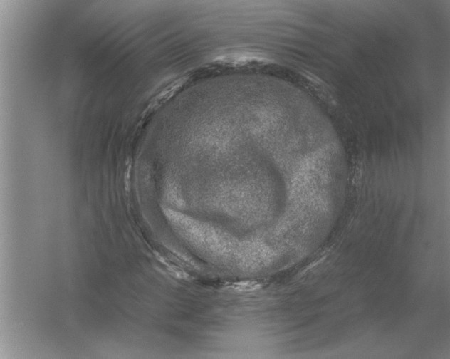 X0000054371014200508191841