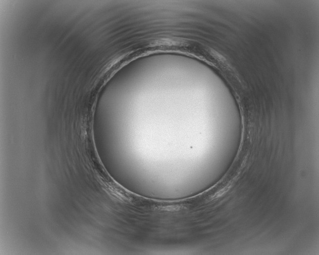 X0000054371017200508191841