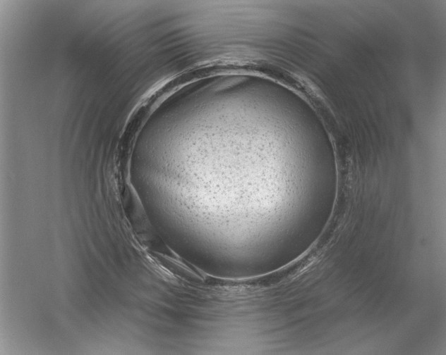 X0000054371018200508191841