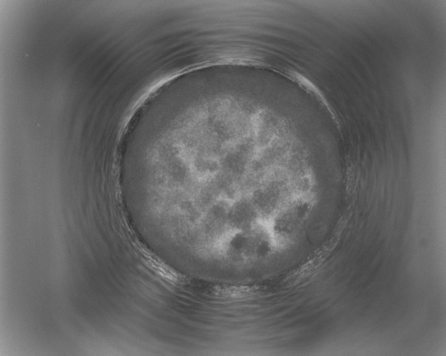 X0000054371019200508191841