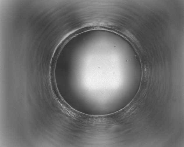 X0000054371020200508191841