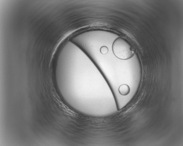 X0000054371021200508191841