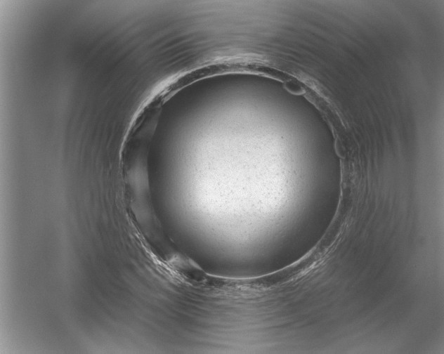 X0000054371022200508191841