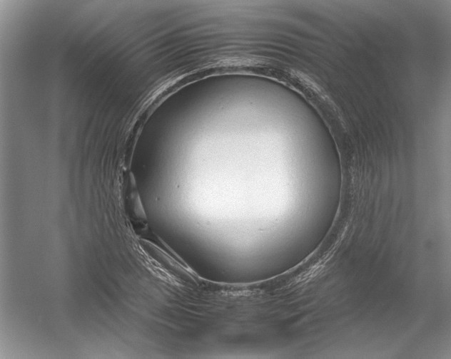 X0000054371025200508191841