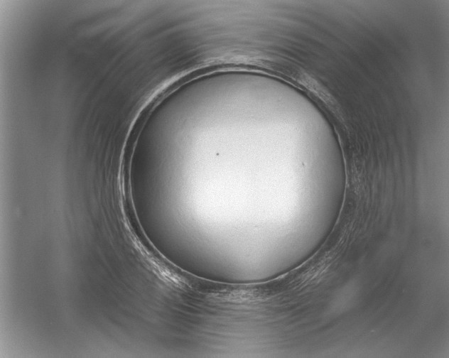 X0000054371028200508191841