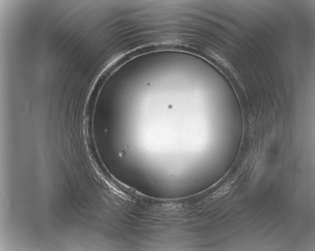 X0000054371029200508191841