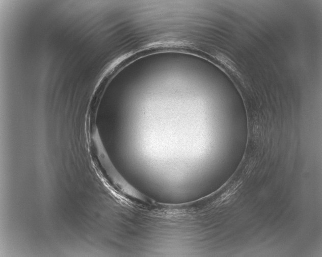 X0000054371030200508191841