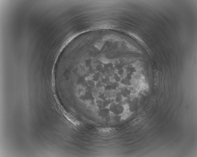 X0000054371031200508191841