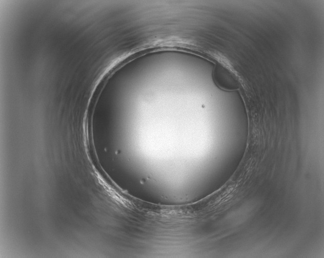 X0000054371032200508191841