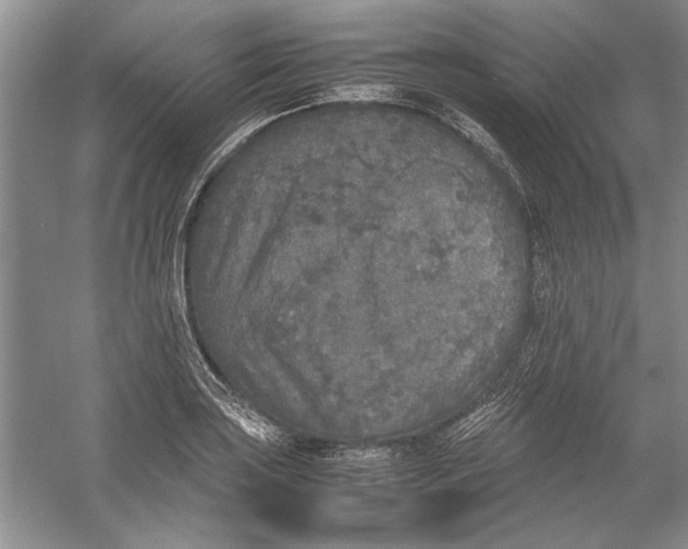 X0000054371035200508191841