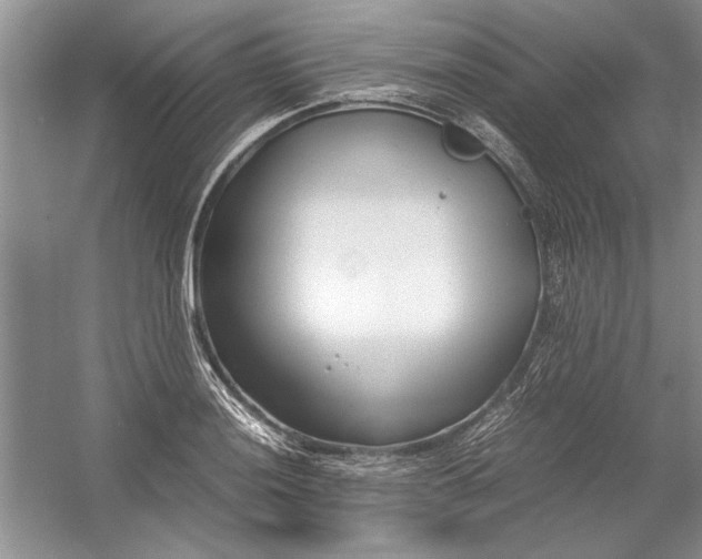 X0000054371036200508191841