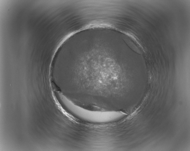 X0000054371038200508191841