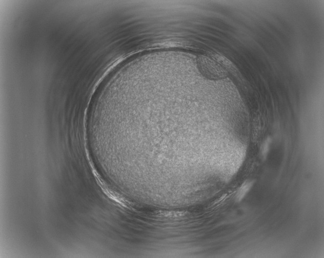 X0000054371039200508191841