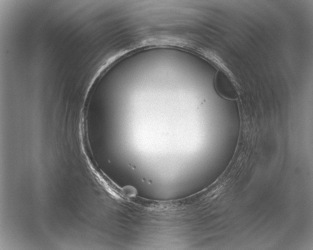 X0000054371040200508191841