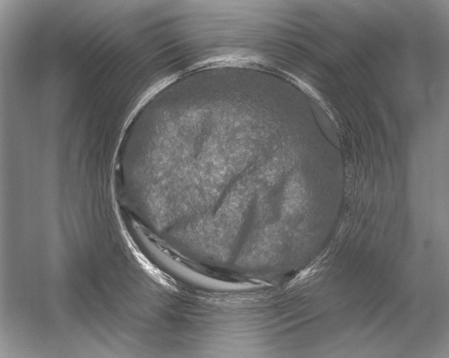 X0000054371042200508191841